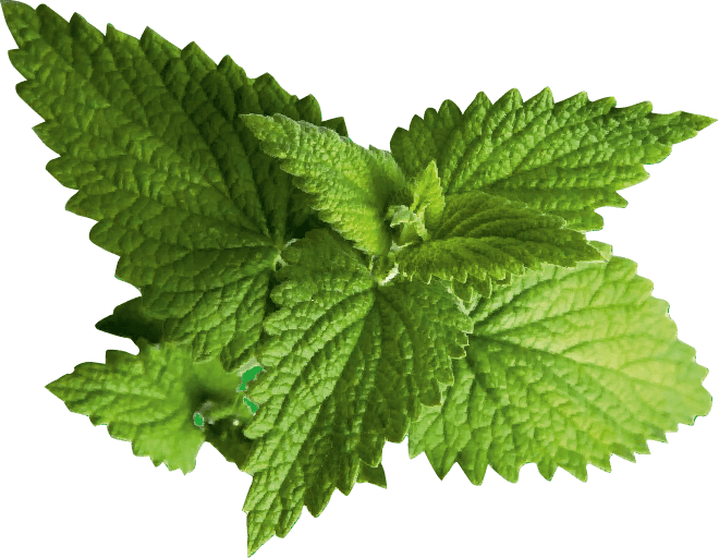 SERBETLI GREEN FLASH 200G