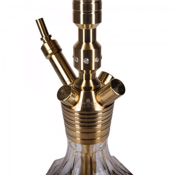 AMIRS 901 TGD Transparent Gold