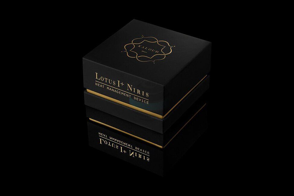 Kaloud Lotus I+ Classic - Silber – Bild 4